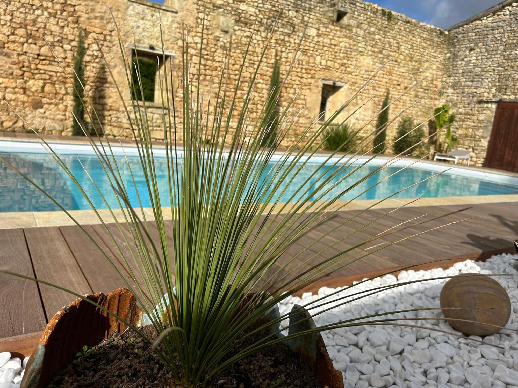 Bed and Breakfast Domaine De La Gemoliere Gémozac Exterior foto